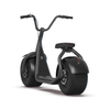 KAASPEED Electric Scooter